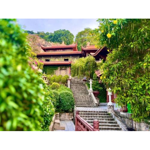 Lời chúc năm mới