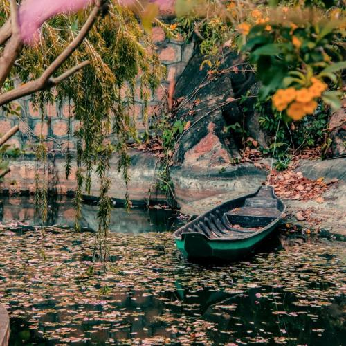 Pháp Yếu Tông Môn